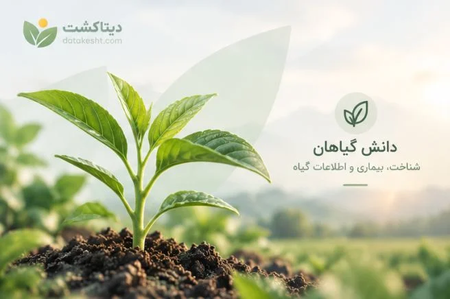 یبیربیببببببببببببببببببب