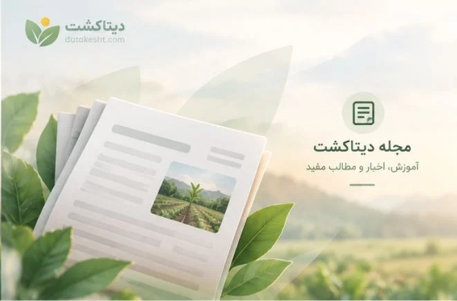 وقتی سرعت، امنیت و حجم — هر سه با هم — ممکن می‌شوند